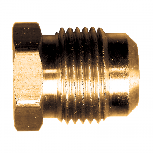 Fairview Brass Sealing Plug;5/16M.SAE 58-5 | RogueFuel.ca