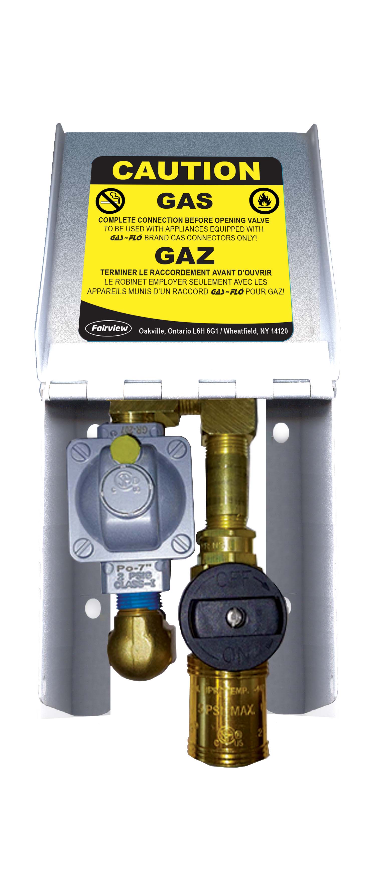 Fairview 2LB Natural Gas Cnnct;2xBV+QD;SS;Rght Mount NG-OUTLET-2LB-DUAL-R | RogueFuel.ca