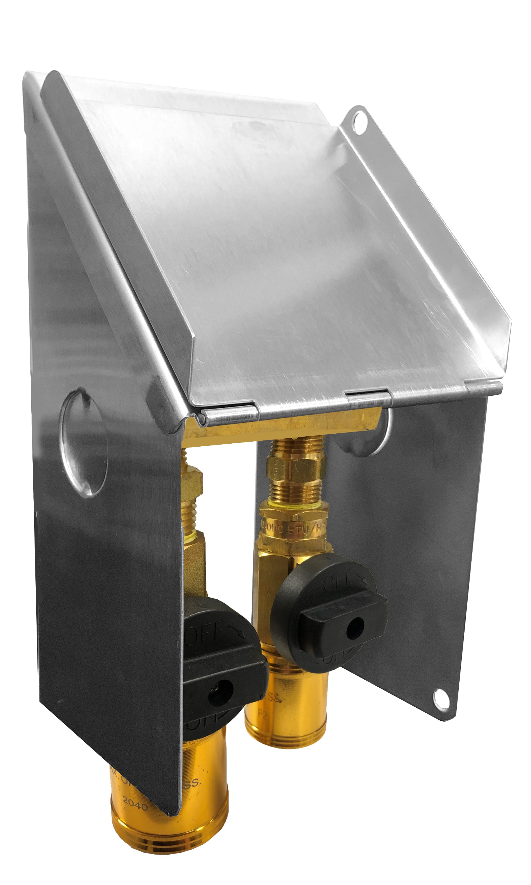 Fairview 2LB LPG Outlet;1/2BVQD and 3/8BVQD;SS Cover NGO-5-2LBLP | RogueFuel.ca